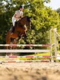 DSC08439 DSC08439