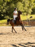 DSC08445 DSC08445