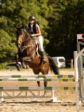 DSC08225 DSC08225