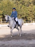DSC02159 DSC02159