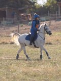 DSC05210 DSC05210