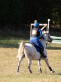 DSC05218 DSC05218