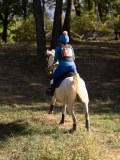 DSC05225 DSC05225
