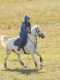 DSC06890 DSC06890