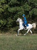 DSC_6161 DSC_6161