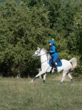 DSC_6162 DSC_6162