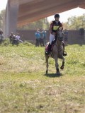DSC04567 DSC04567
