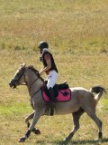 DSC06474 DSC06474