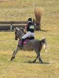 DSC06475 DSC06475