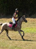 DSC06478 DSC06478