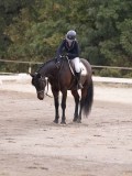 DSC02364 DSC02364