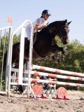 DSC03726 DSC03726