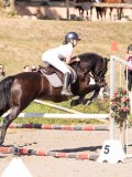 DSC03728 DSC03728