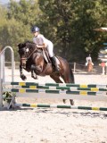 DSC03729 DSC03729