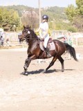 DSC03730 DSC03730