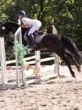 DSC03733 DSC03733