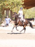 DSC03734 DSC03734