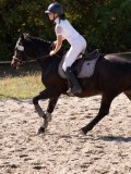 DSC03736 DSC03736