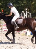 DSC03738 DSC03738