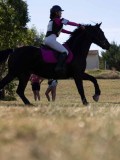 DSC04976 DSC04976