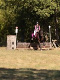 DSC04980 DSC04980