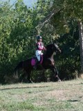 DSC_6064 DSC_6064