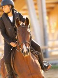 DSC08276 DSC08276