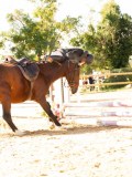 DSC08277 DSC08277