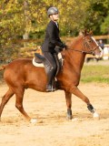 DSC07774 DSC07774