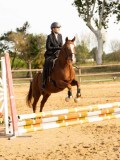 DSC07777 DSC07777