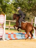 DSC07779 DSC07779