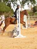 DSC07780 DSC07780