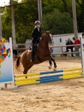 DSC07781 DSC07781