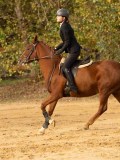 DSC07786 DSC07786