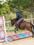DSC07329 DSC07329