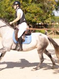 DSC08935 DSC08935