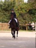DSC07654 DSC07654