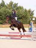 DSC07655 DSC07655