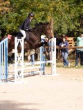DSC07662 DSC07662