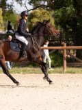 DSC07663 DSC07663