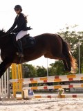 DSC07666 DSC07666