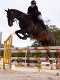 DSC00429 DSC00429