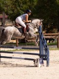 DSC08745 DSC08745