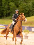 DSC02569 DSC02569