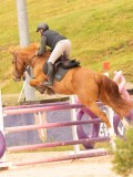 DSC02575 DSC02575