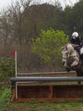 IMG_0485 IMG_0485