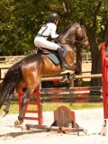 DSC01643 DSC01643