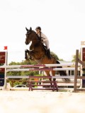 DSC01648 DSC01648