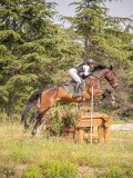 IMG_0036