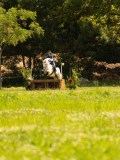 DSC00884 DSC00884